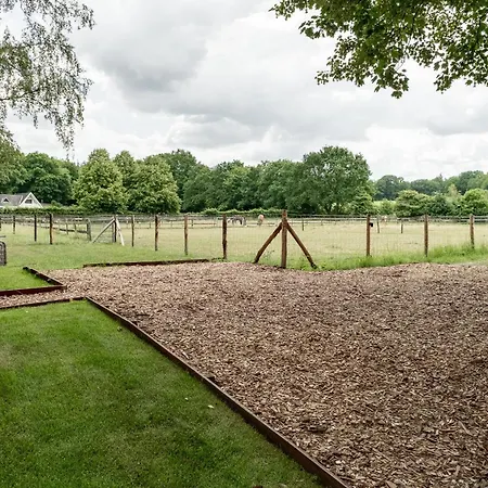 Nieuw Het Middelpunt Op De Veluwe Bij Het Bos *