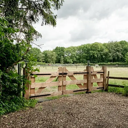 Apartamento Nieuw Het Middelpunt Op De Veluwe Bij Het Bos Lunteren