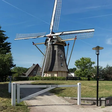 Nieuw Het Middelpunt Op De Veluwe Bij Het Bos *