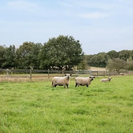 Nieuw Het Middelpunt Op De Veluwe Bij Het Bos Apartamento Lunteren